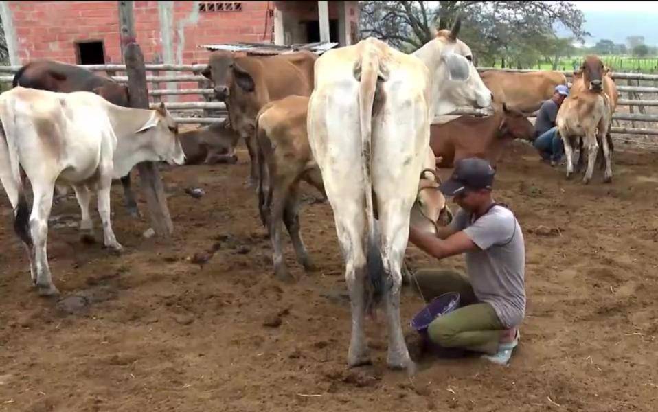Referéndum y consulta popular 2025 | Así se vive una jornada electoral en una zona rural