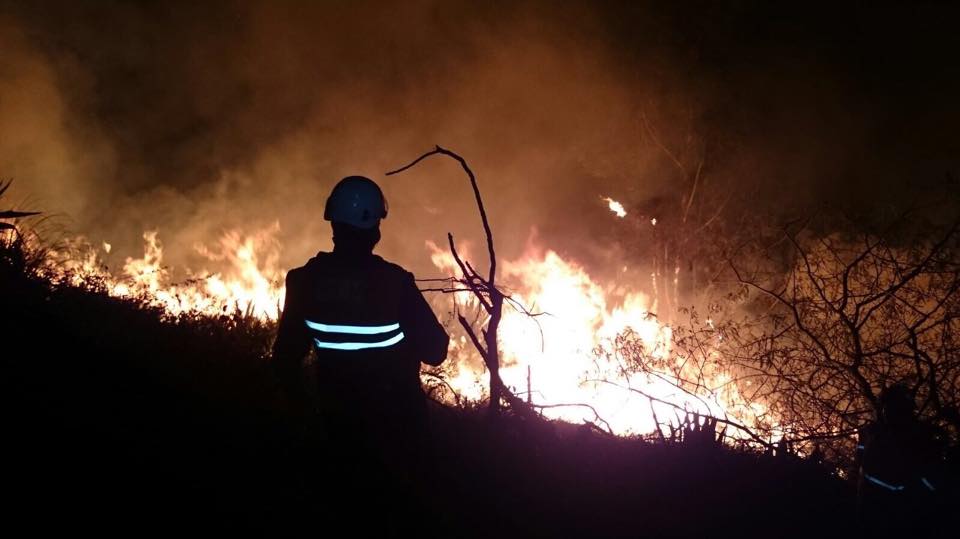 Ministro ofrece recompensa por pirómanos tras muerte de bomberos