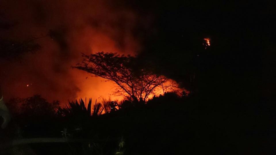 Ministro ofrece recompensa por pirómanos tras muerte de bomberos