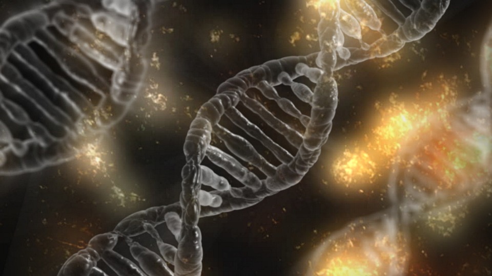 Técnica de edición genética provoca mutaciones inesperadas