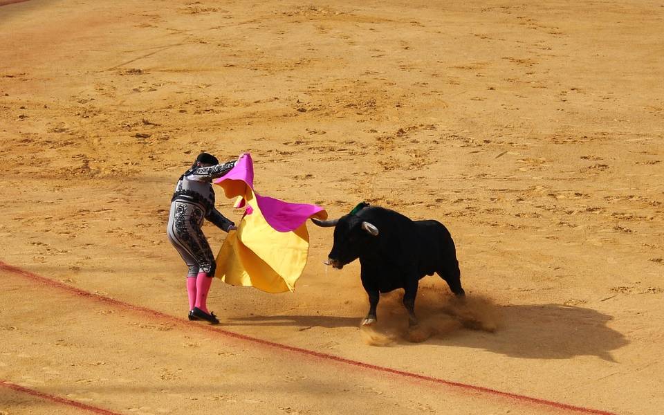Corte Constitucional analiza demanda que pide restaurar corridas de toros