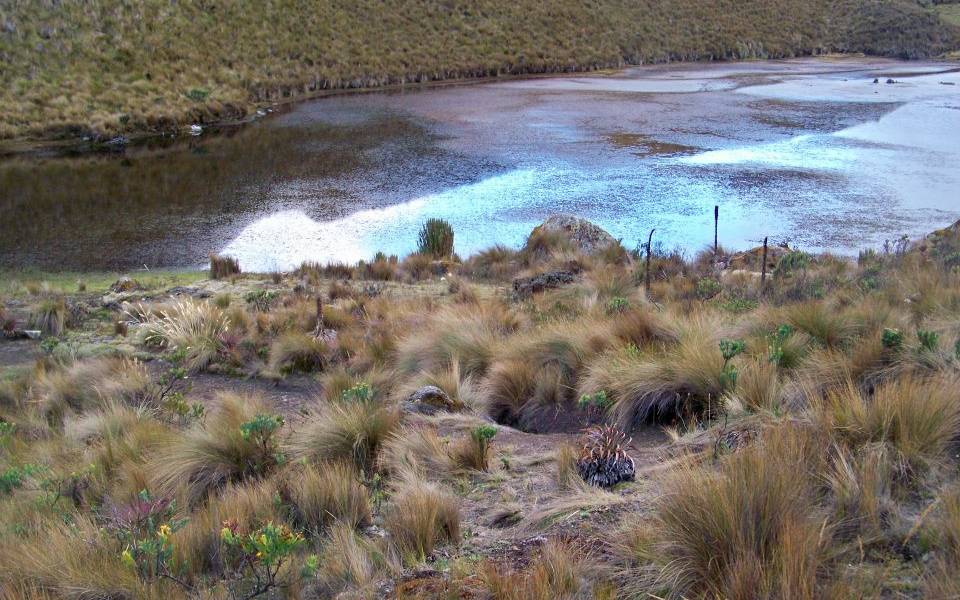 El Cajas, un sueño azul y verde en medio del páramo