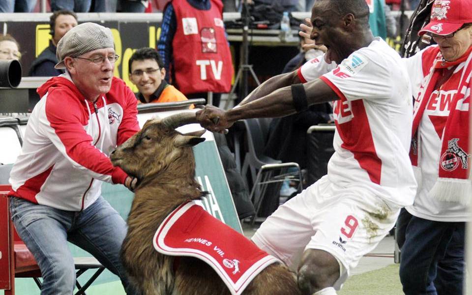 Celebración desata polémica en Alemania por trato a una cabra mascota