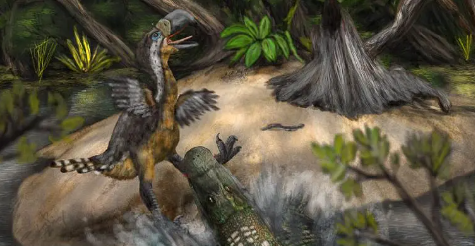 Ave del terror: qué dicen los últimos hallazgos en Colombia sobre el enorme reptil que atemorizó a Sudamérica hace 13 millones de años