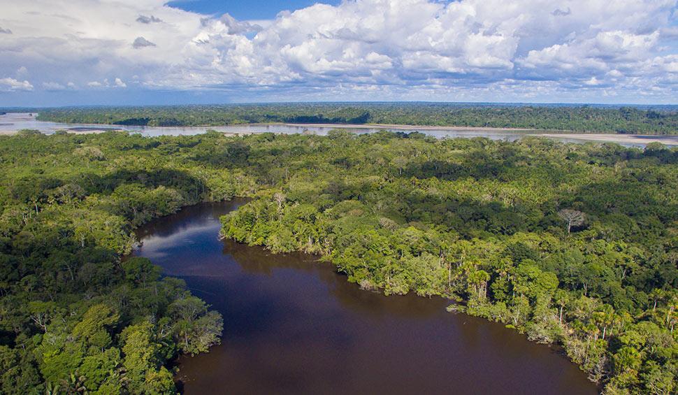 Gobierno apoya a bioemprendimientos en la Amazonía para el Yasuní