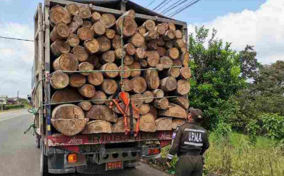 La energía eólica impulsa el mercado negro de la balsa en Ecuador