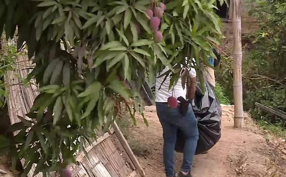 Imagen de un cuerpo descuartizado siendo sacado de un saco.