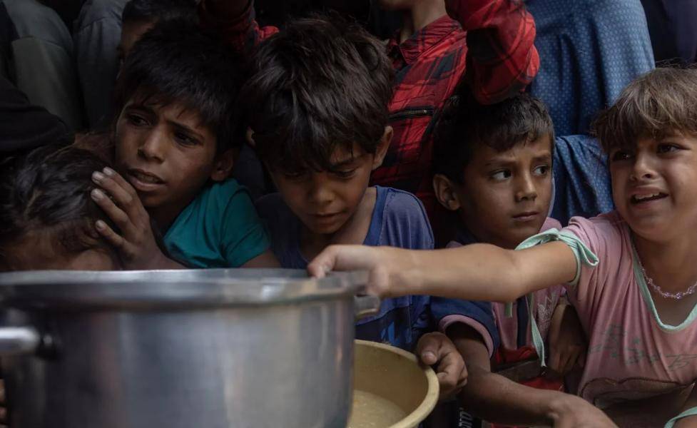 14 000 bebés morirán en 48 horas, si no reciben ayuda humanitaria en Gaza