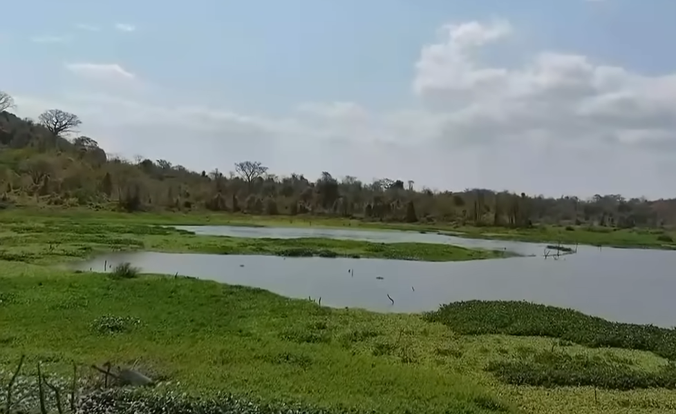 La Policía halló cuatro cuerpos en laguna del recinto Manga Covacha, en Vía a la Costa