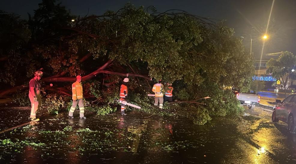 Siete árboles caídos y apagones en varios sectores tras segundo día de lluvias intensas en Guayaquil