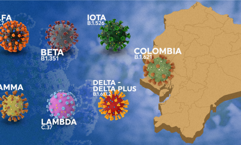 6 variantes predominan en Ecuador; hay una alerta por mutación de Colombia