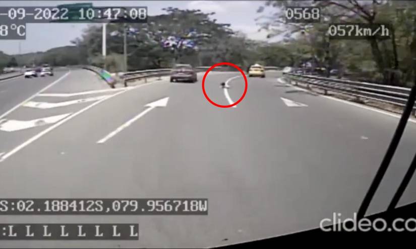 Video capta la caída de una niña de un taxi con la puerta mal cerrada en la Perimentral; se salvó de ser atropellada
