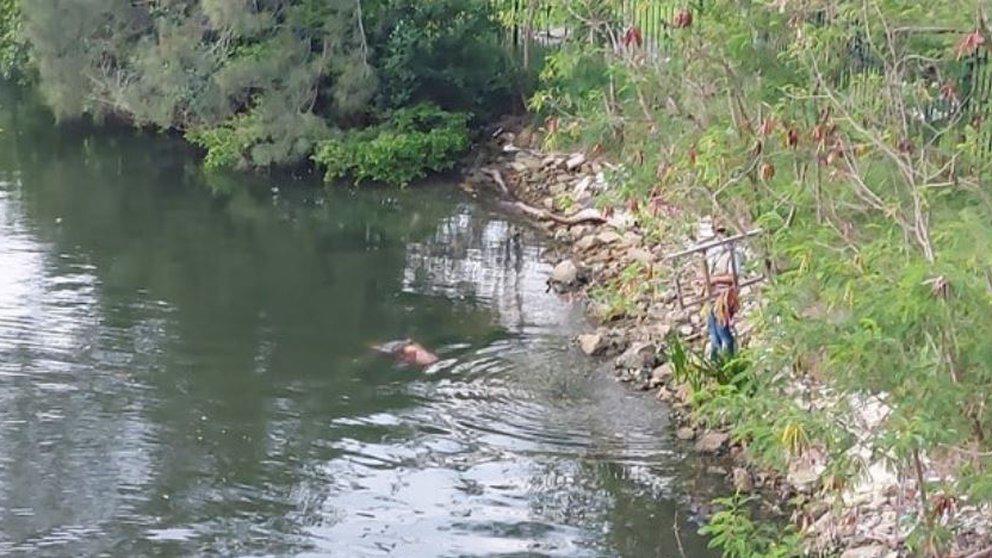 Un cocodrilo devoró a una mujer que lavaba ropa en un río de México