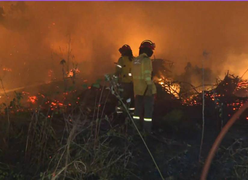 Imagen de bomberos combatiendo un incendio en la avenida Narcisa de Jesús, norte de Guayaquil.