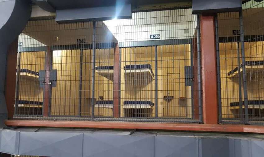 Fotos: Bessy Granja. 